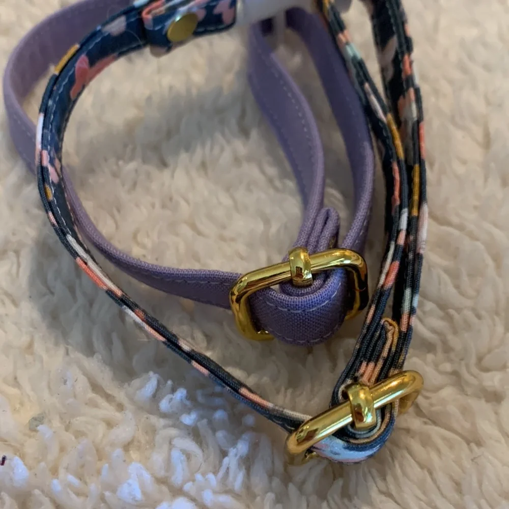 Dog cat collar and leash